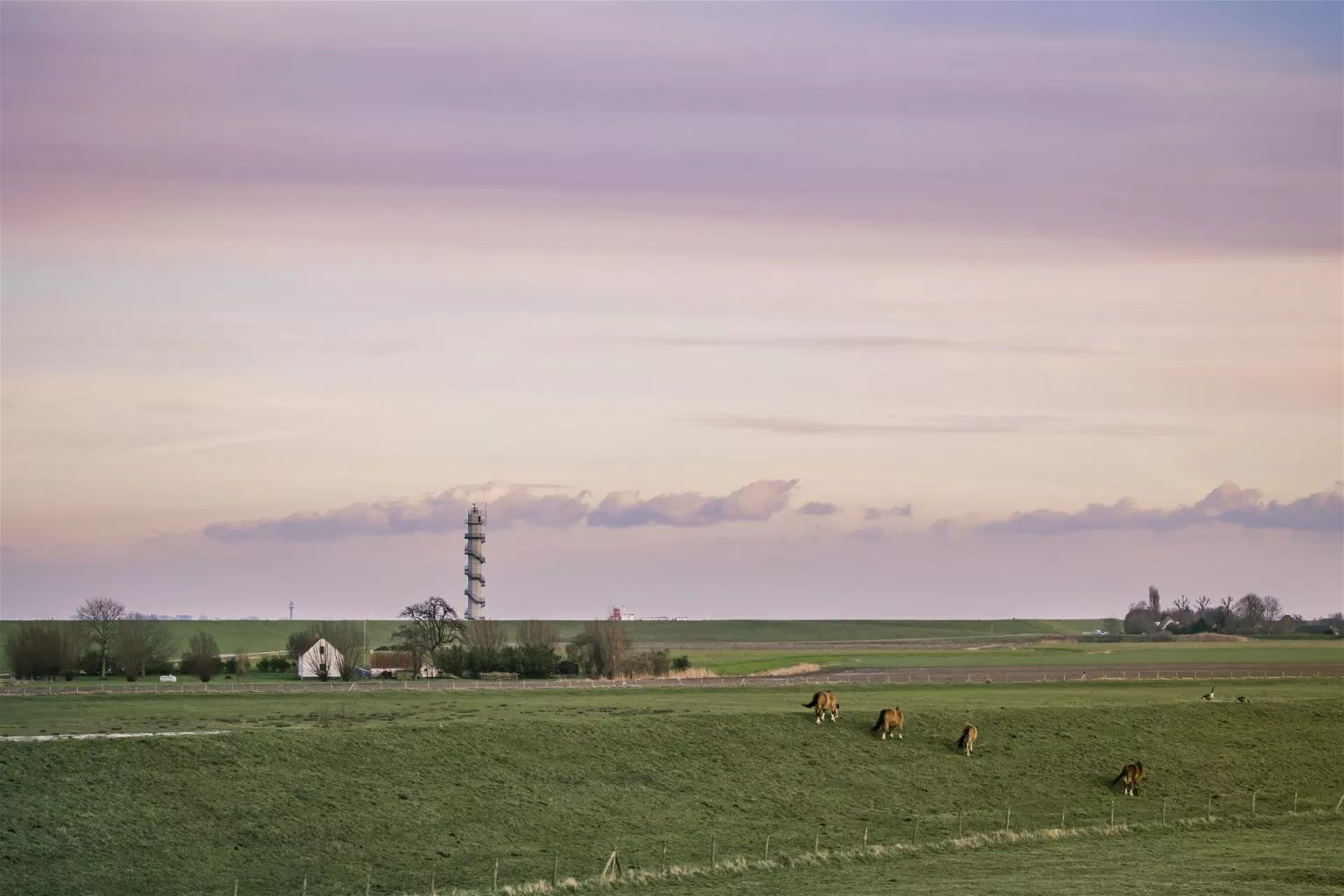 Waterzande Ossenisse